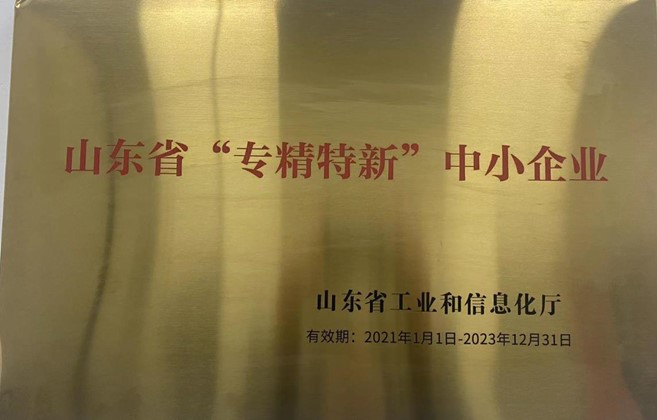 獲得山東省“專精特新”中小企業(yè)稱號